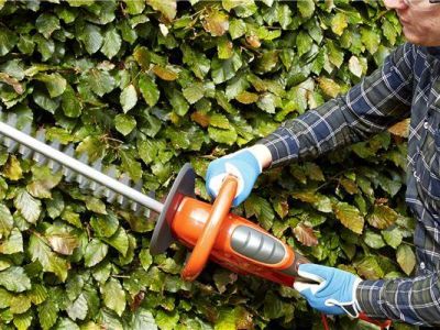 Hedge Trimmer